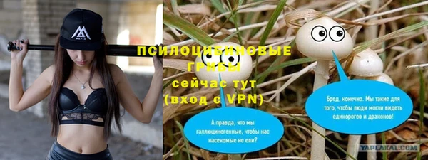 ALPHA-PVP Армянск